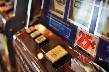 lebahjitu dashboard showing live match updates and payment options